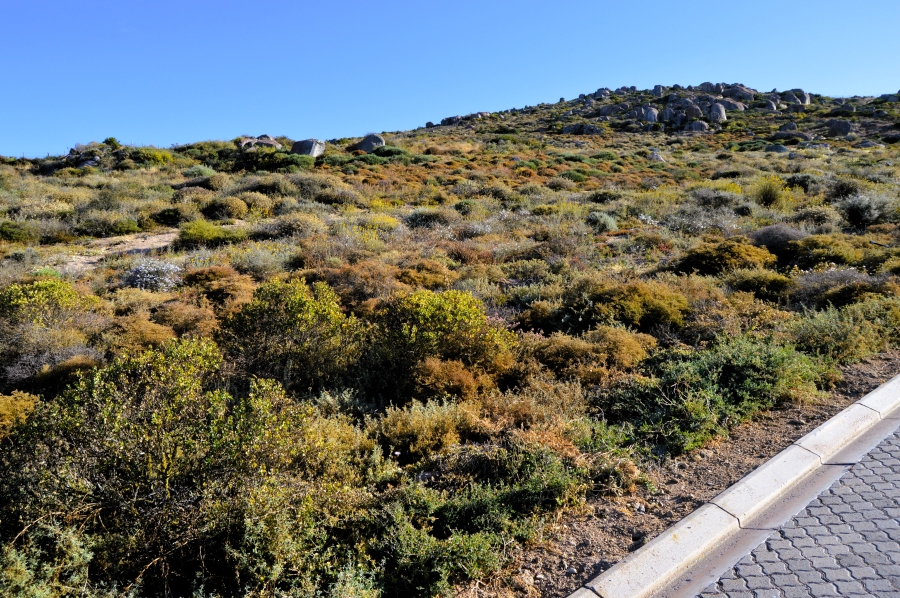 0 Bedroom Property for Sale in Steenbergs Cove Western Cape